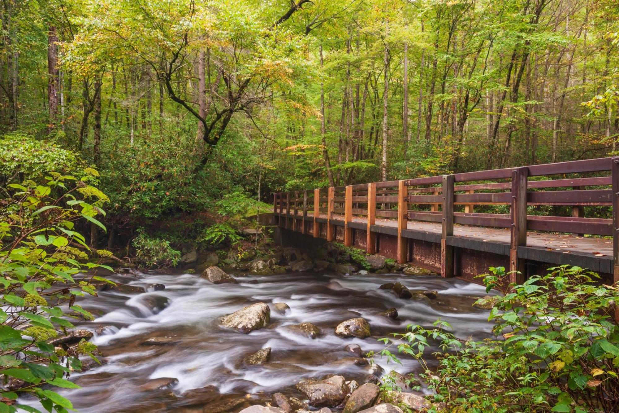 Glori'S Retreat, Game Room, 1089 Of Free Attraction Tickets For Each Paid Day, Dollywood And More Pigeon Forge Esterno foto